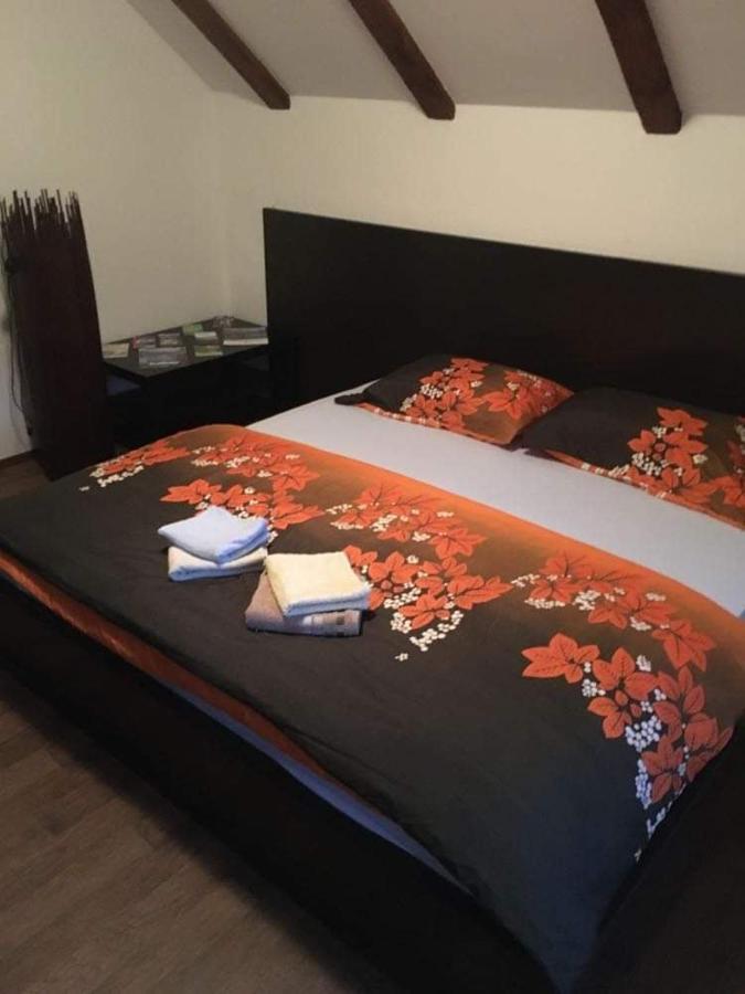 Apartmaji Velikonja Ajdovščina Dış mekan fotoğraf