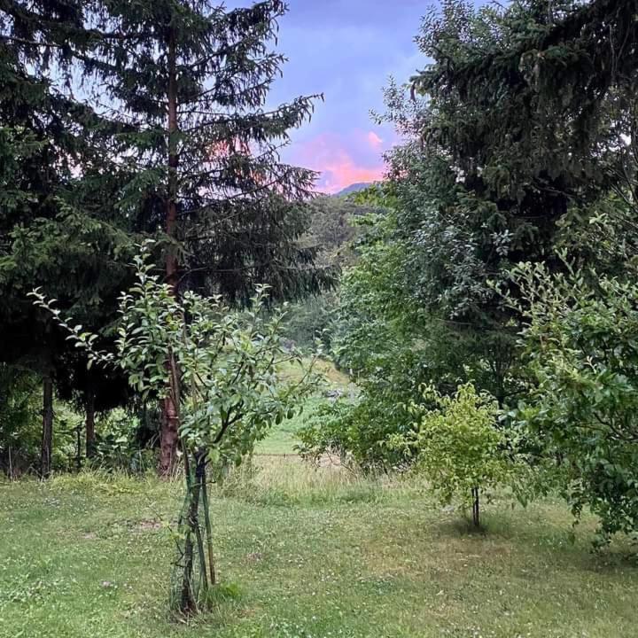 Apartmaji Velikonja Ajdovščina Dış mekan fotoğraf